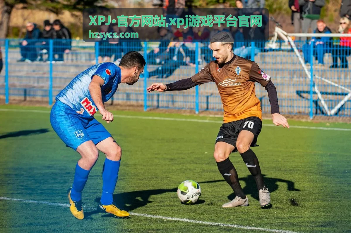 XPJ·官方网站官方入口栏目展示
