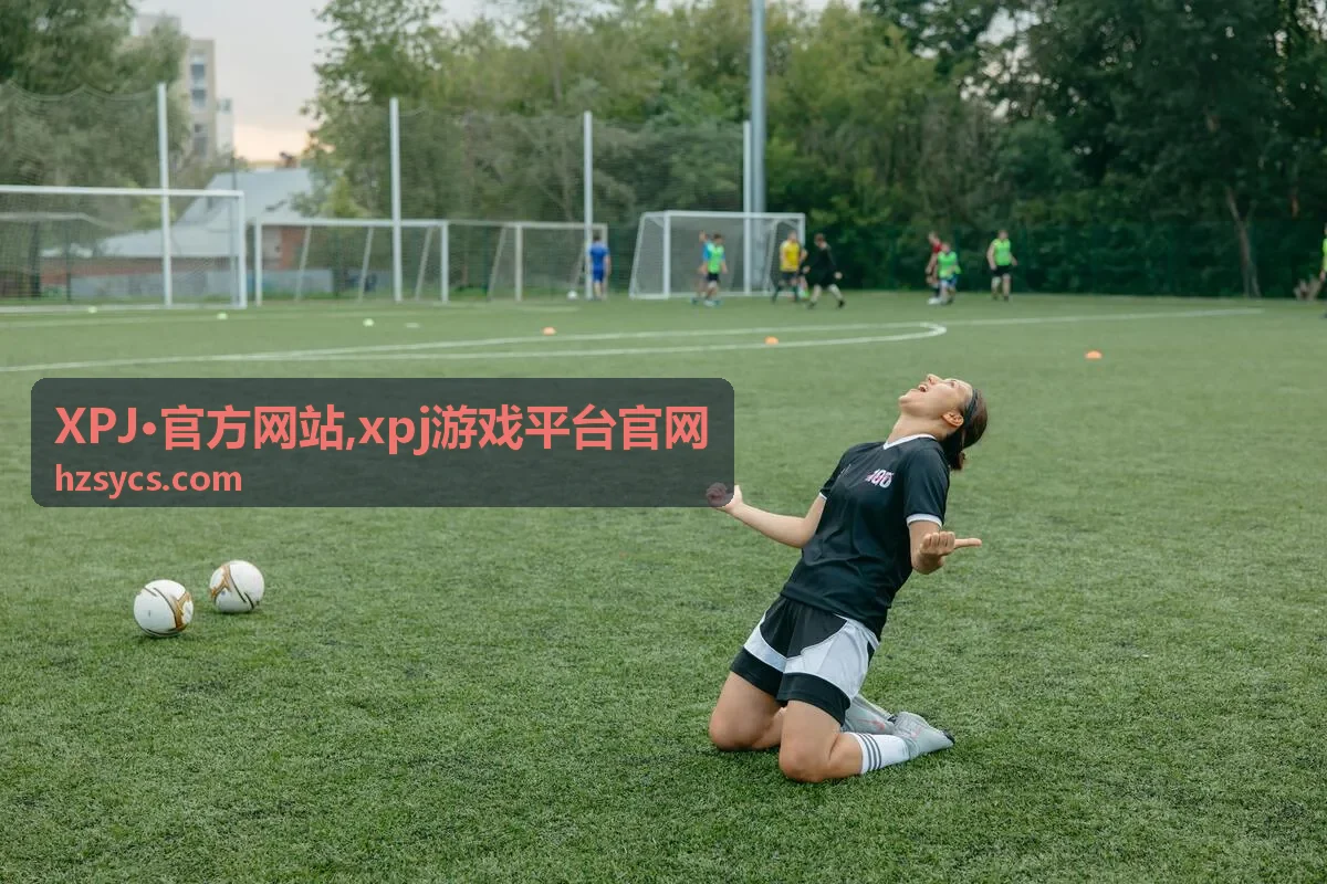 XPJ·官方网站访问提示内容
